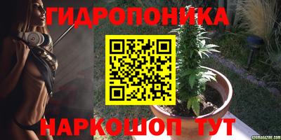 ПСИЛОЦИБИНОВЫЕ ГРИБЫ Коммунар